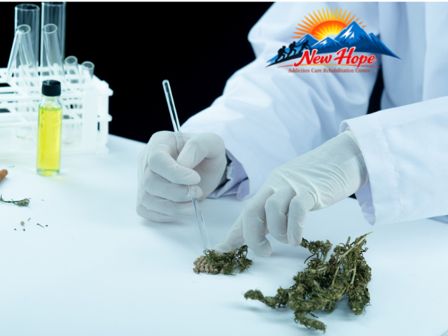 Ganja Addiction Treatment in Prayagraj